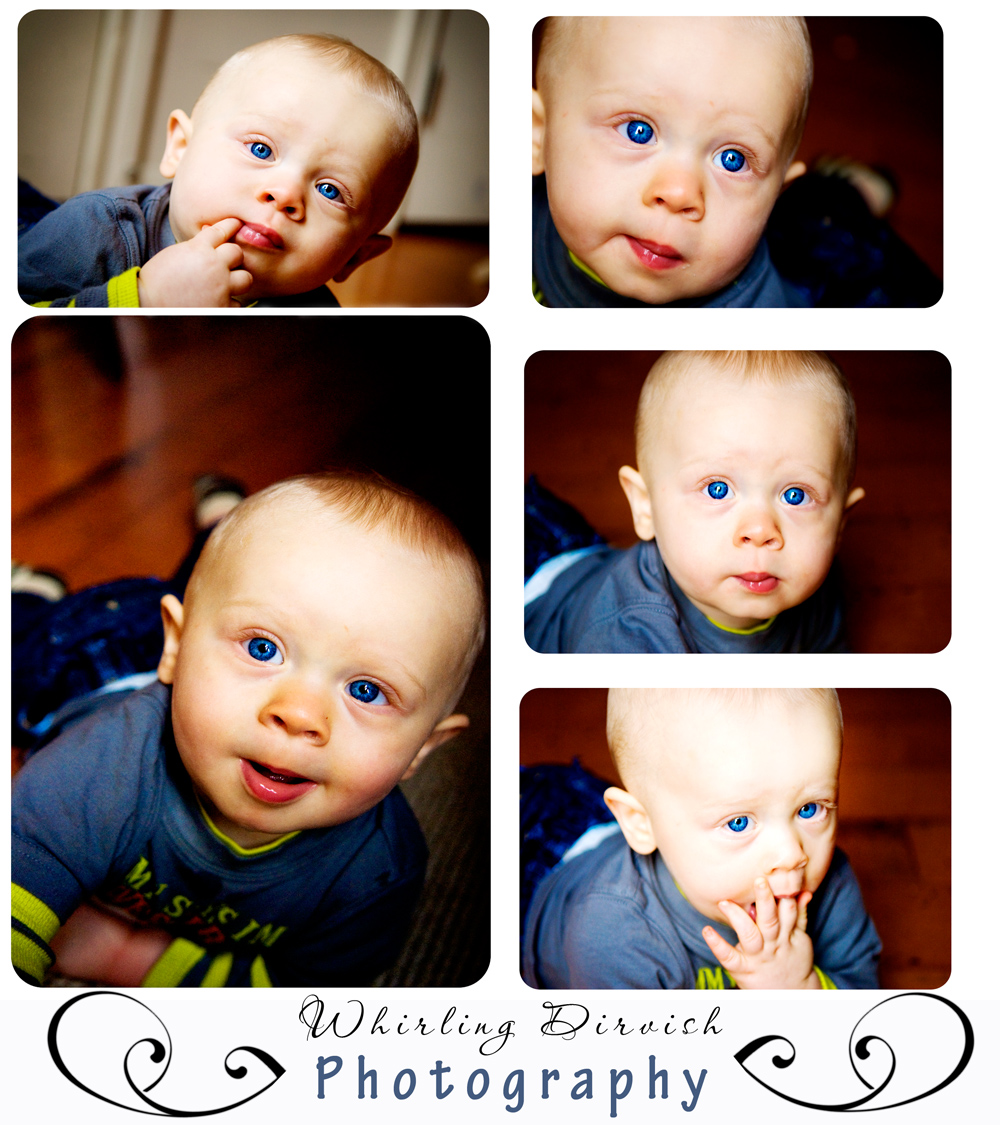 Wild Things Wild Things
