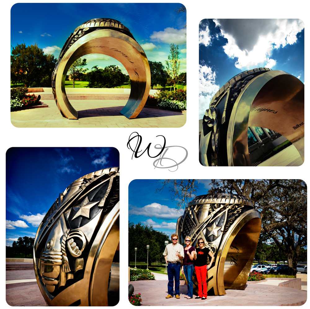 Bronze Ring Bronze Ring