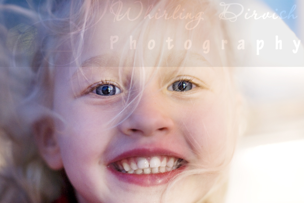 DIR_0053_9334blog