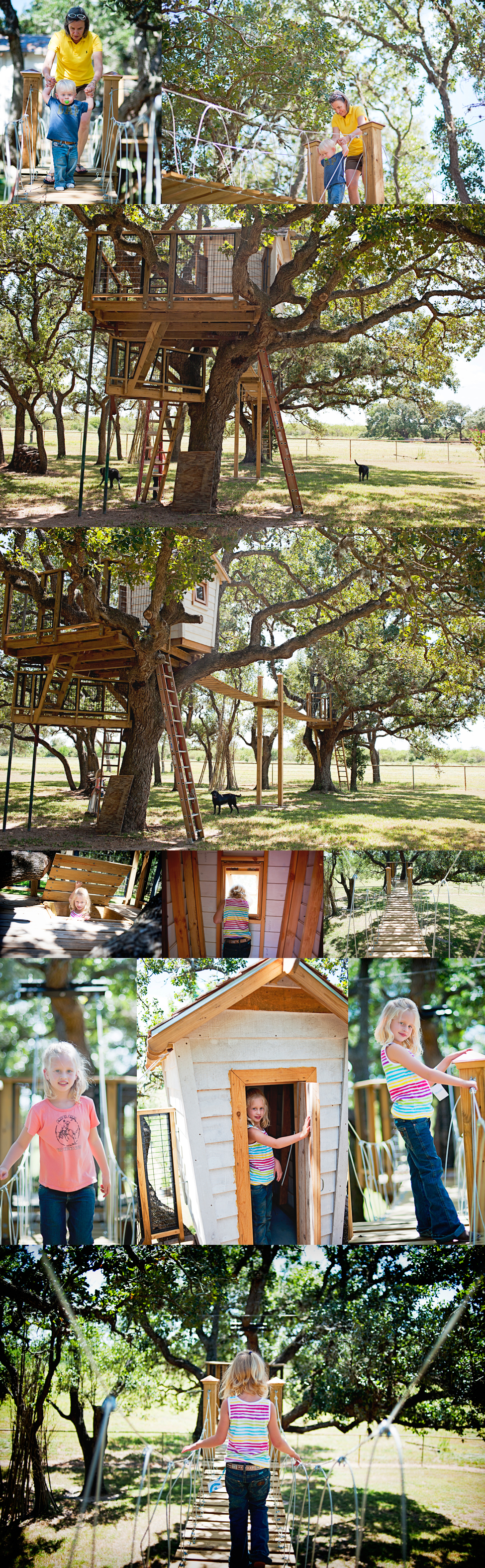house tree