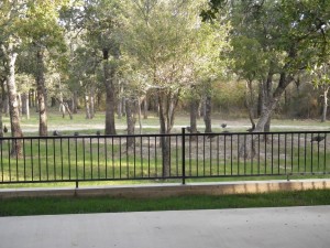 IMGP0450